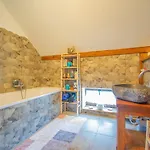 Kohouti Hnizdo Kohoutov