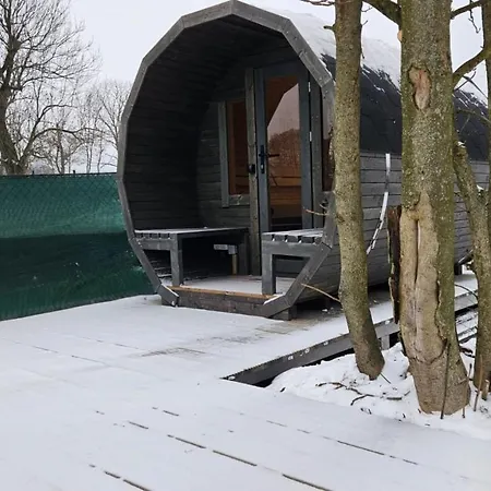 Kohouti Hnizdo Kohoutov