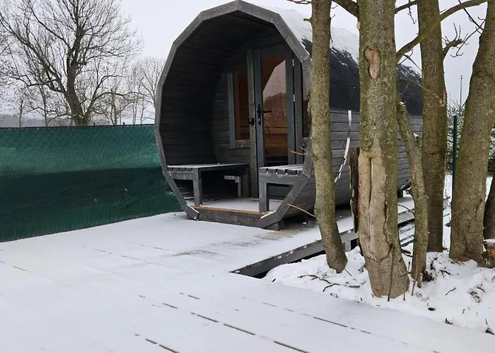 Kohouti Hnizdo Kohoutov